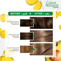 صبغة شعر غارنييه كولور ناتشرلز أشقر رمادي عميق - 7...