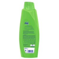 شامبو برت بلس مضاد للقشرة بزيت جوز الهند وخلاصة ال...