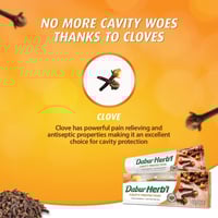 معجون أسنان دابر هيربال بالقرنفل - 150 مل