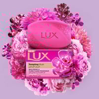 صابون لوكس المسك الساحر - 170 جرام (عبوة من 6 قطع)