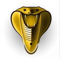 اشتراك كوبرا شهر