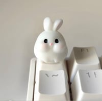 كي كابز أرنب