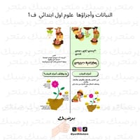 مطوية النباتات وأجزاؤها مادة العلوم صف اول ابتدائي...