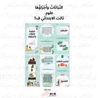 مطوية النباتات وأجزاؤها ثالث ابتدائي مادة العلوم ف...