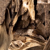 كلمنتان طبيعي سومطري ملكي ( اوقيه +اوقيه مجاناً )