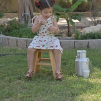 جيلاتو الفراولة