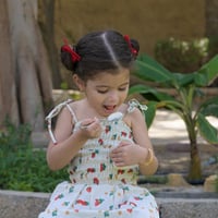 جيلاتو التوت بحليب الماعز والسكر العضوي