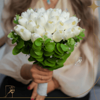 مسكة التوليب الأبيض