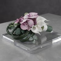 مسكه عروسه -كالا- اوركيد