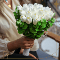 مسكة التوليب الأبيض