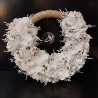 مسكه عروسه (اركيد ابيض)