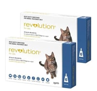 امبولات ريفولشن (Revolution) لعلاج الحشرات و البرا...