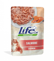 كرتون أظرف لايف كات