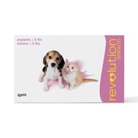 امبولات ريفولشن (Revolution) لعلاج الحشرات و البرا...
