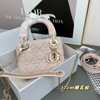 شنطه ليدي ديور وردي ماستر