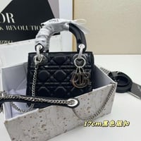 شنطه ليدي ديوراسود لوقو فضي ماستر