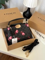 شنط كوتش مرسومه بالكرز