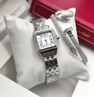 ساعه كارتير حجم24