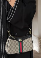 شنطه قوتشي حجمين