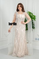 فستان سهره شامبانيا مائي بقصّة حورية تطريز ريش لام...