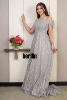 فستان سهرة دانتيل مزين بتطريز ناعم بلون فضي بقصة ا...