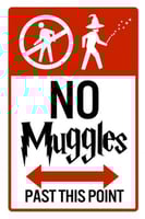 بوستر هاري بوتر