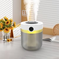 جهاز ترطيب الهواء بالرذاذ النانوي مع مصباح ليلي HM...