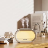 جهاز ترطيب الهواء بالرذاذ النانوي HM16