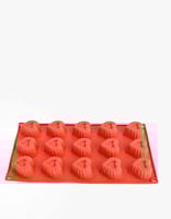 قالب سيلكون