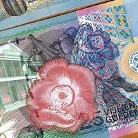 سورينام فئة 25 جولدن أنسر