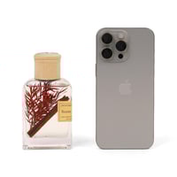 فواحة أعواد عطرية بزينة داخلية 100 مل