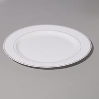 صحن بلاستيك فاخر بأطراف فضية للتقديمات لون أبيض |3...