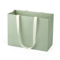 مجموعة (12) كيس هدايا فاخرأخضر فاتح |23*10.1*17.9...