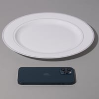 صحن بلاستيك فاخر بأطراف فضية للتقديمات لون أبيض |3...