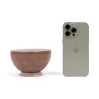 مجموعة (6) علب معدنية فاخرة بغطاء "نسانيس الشتاء"...