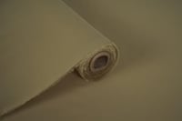 بستاشيو فاتح 010