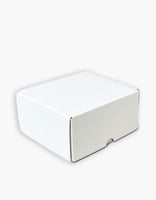 50 كرتون أبيض تجارة إلكترونية مقاس M