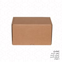 كرتون تجارة الكترونية فاخر L ( 50 كرتون)