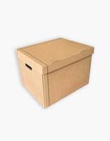 15 كرتون أرشيف مع غطاء مدمج - بتصميم