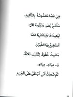 يوميات دلتا : أين هي العصا السحرية ؟!