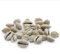 ودع حب غير مطحون