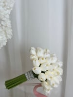 مسكة عروس ( توليب )