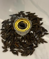 عود تايقر محسن درجة اولى اوقيةً