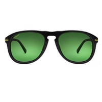 نظارة شمسية من بولر POLAR GOLD 101