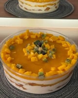 علب بلاستيك دائرية كبيرة مقاس 25 * 7.5 سم