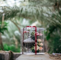 علب كيك تورته شفافة بعدة مقاسات الوان