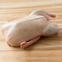 بطه بكيني بلدي مبرد وزن 1000 جم +_100