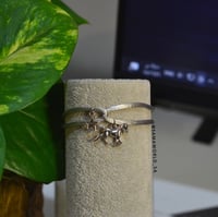 أسوارة حصان و نجمة