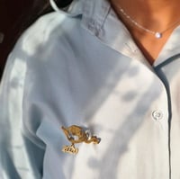 بروش تخرج بالاسم حسب الطلب