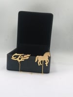 بروش أطفال مع حصان